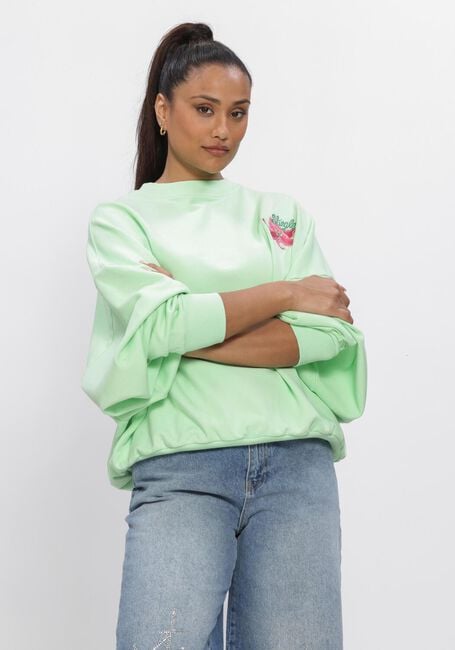 Groene STIEGLITZ Truien/vesten NOVIA OVERSIZED SWEATER - large