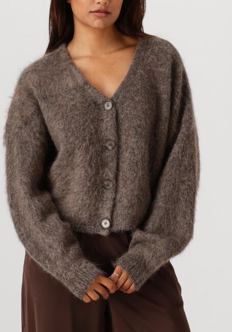 Bruine GESTUZ Vest GZDEBBIE CARDIGAN - large