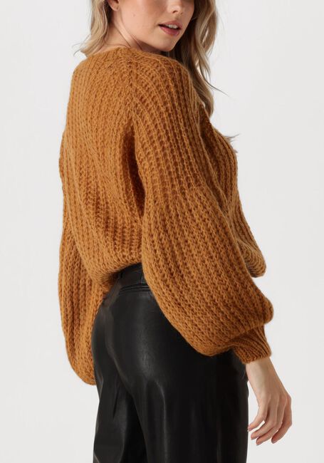 Camel AMAYA AMSTERDAM Trui ACE KNITWEAR - large