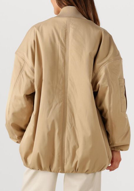 Camel IBANA Jack JULLIO - large