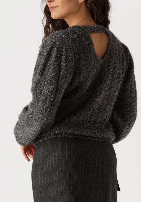 Grijze AAIKO Trui FEMME PES 377 - large