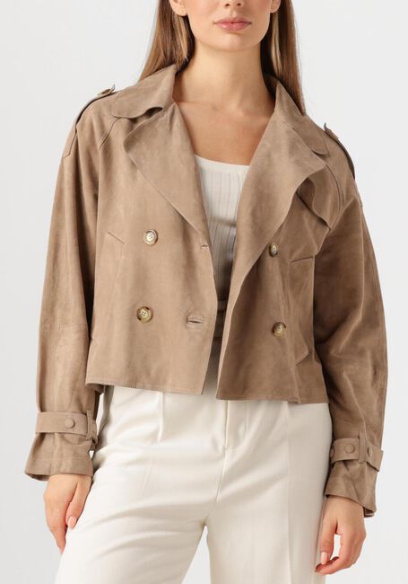 Taupe ALTER EGO Jack FLORIEN - large