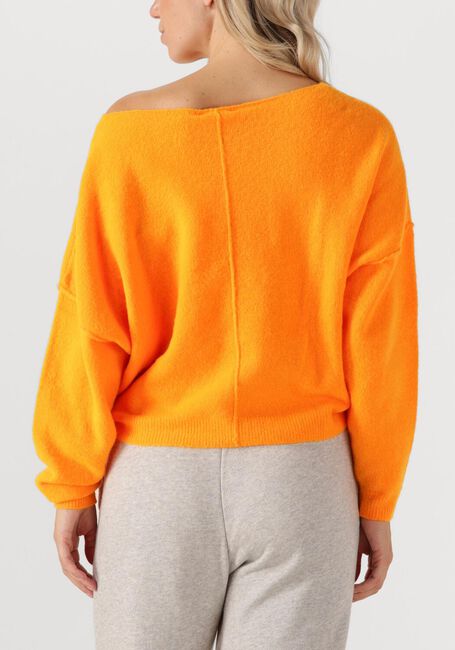 Oranje AMERICAN VINTAGE Trui DAMSVILLE - large