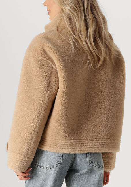 Camel IBANA Jack CHRIS - large