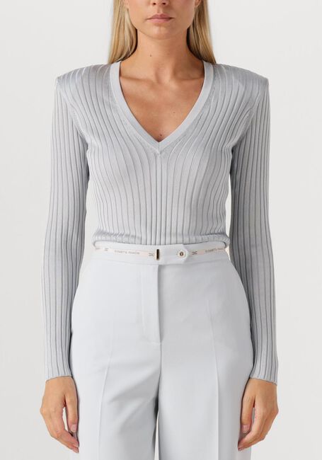 Lichtgrijze ELISABETTA FRANCHI Trui KNITTED SWEATER - large
