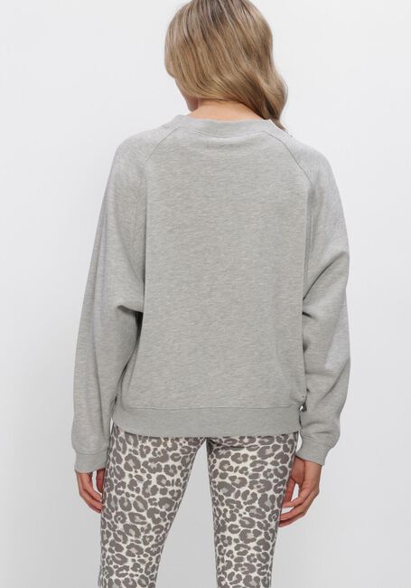 Grijze DEBLON SPORTS Sweater VIVE SWEATER - large