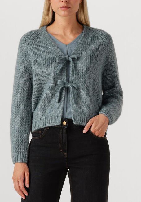 Blauwe LUISA CERANO Vest 428379/5348 - large