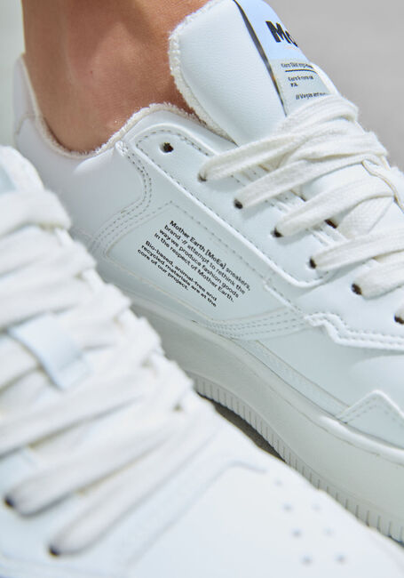 MoEa MOEA-BASGN1 MoEa MOEA-BASGN1 - large