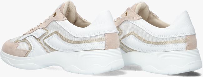 Beige DL SPORT Lage sneakers 6540 Beige DL SPORT Lage sneakers 6540 - large