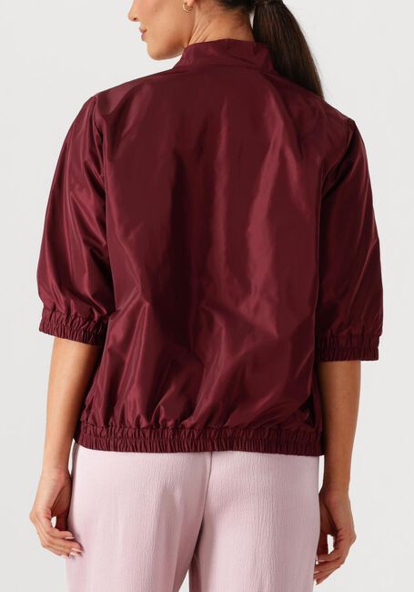 Bordeaux AMAYA AMSTERDAM Jack STORM - large