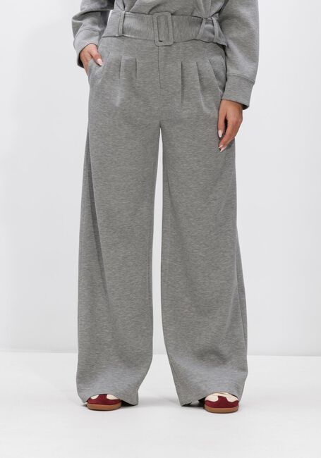 Grijze CO'COUTURE Broeken LANCE PLEAT LL SWEATPANT - large