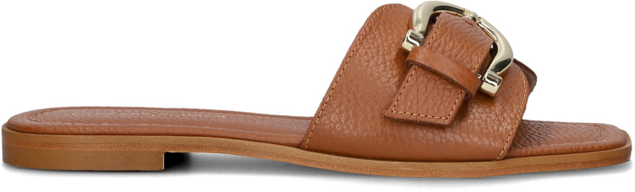 Stefano Lauran Slippers
Dames Led 1 Band Slipper Met Gesp, Maat: 37, Materiaal: Leer, Kleur: Cognac