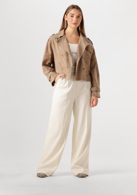 Taupe ALTER EGO Jack FLORIEN - large