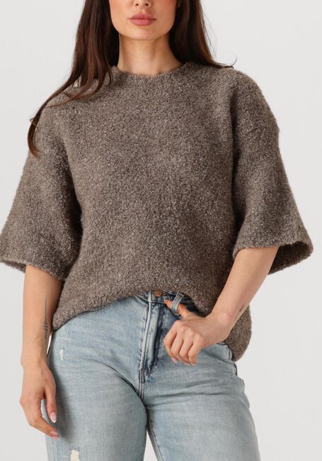 Taupe AMERICAN VINTAGE Trui ZOLLY - large