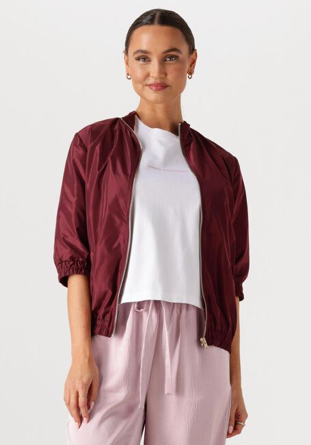 Bordeaux AMAYA AMSTERDAM Jack STORM - large