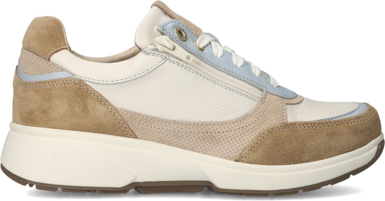 Xsensible,  Pristina