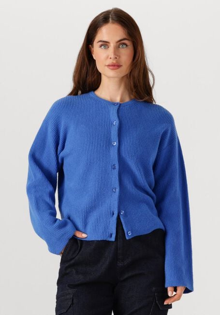 Blauwe PENN & INK Vest CARDIGAN W25B345 - large