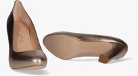 Bronzen UNISA Pumps PASCUAL Bronzen UNISA Pumps PASCUAL - medium