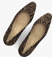 Taupe UNISA Hakken WABA Taupe UNISA Hakken WABA - medium