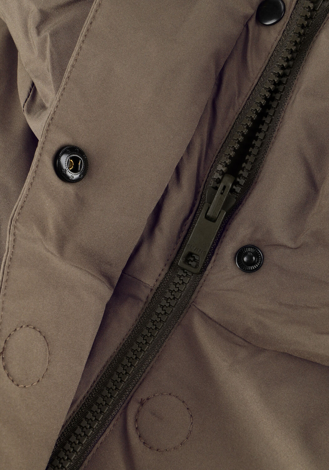 Groene ELVINE Gewatteerde jas ASHA - large