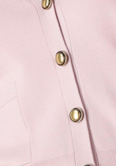 Lichtroze LUISA CERANO Truien/vesten 438038/5094-00 - large