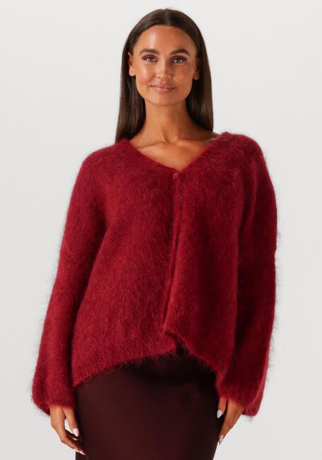 Bordeaux AMAYA AMSTERDAM Trui ROOS - large