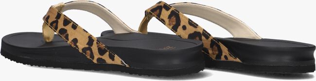 Bruine BLASZ Teenslippers BELLA 2402 Bruine BLASZ Teenslippers BELLA 2402 - large