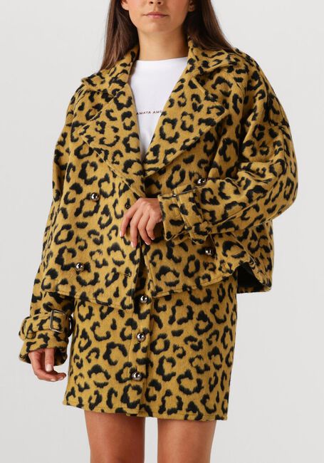 Oker AMAYA AMSTERDAM Jack LOTUS - large