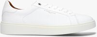 Witte STEFANO LAURAN Lage sneakers LJ2503 - medium