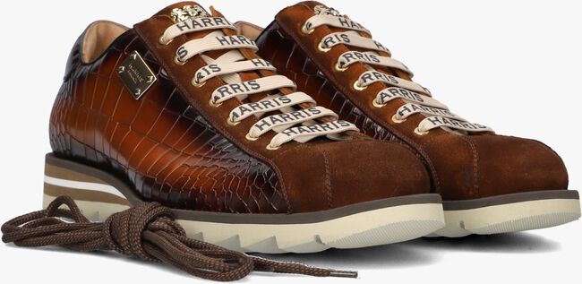 HARRIS 2892 HARRIS 2892 - large