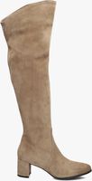 Taupe NOTRE-V Overknee laarzen 8597 Taupe NOTRE-V Overknee laarzen 8597 - medium