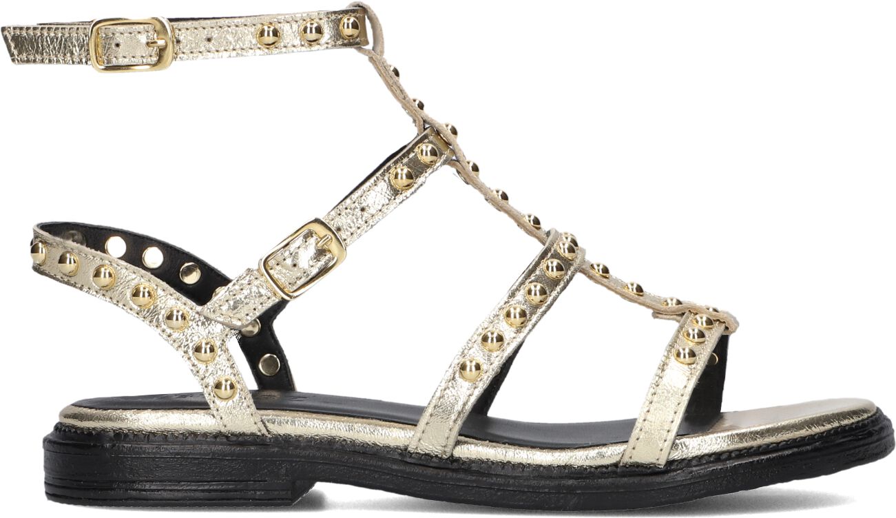 Blasz Sandalen
Dames 1gamba100, Maat: 36, Materiaal: Leer, Kleur: Goud