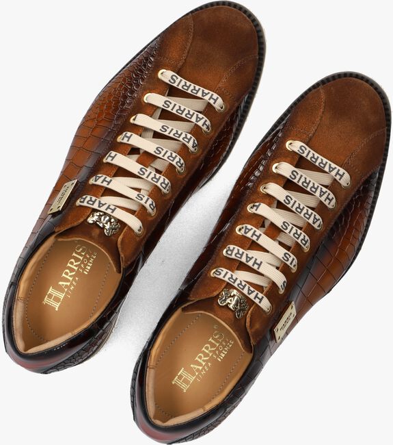 HARRIS 2892 HARRIS 2892 - large