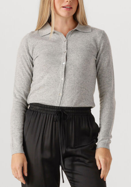 Lichtgrijze RESORT FINEST Trui POLO SHORT CARDIGAN - large