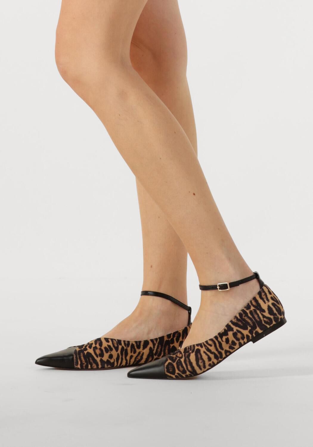 Bruine TORAL Ballerina's CRISTELLE - large