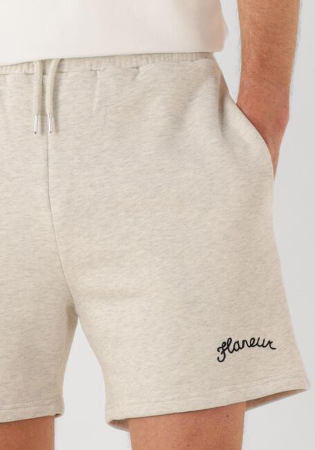Grijze FLANEUR Broeken SIGNATURE SHORTS - large