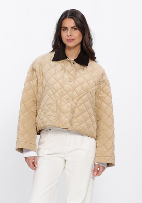 Beige MAX MARA  KAKI - large