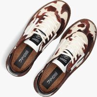 Bruine PURAAI Lage sneakers 6.01 XS Bruine PURAAI Lage sneakers 6.01 XS - medium