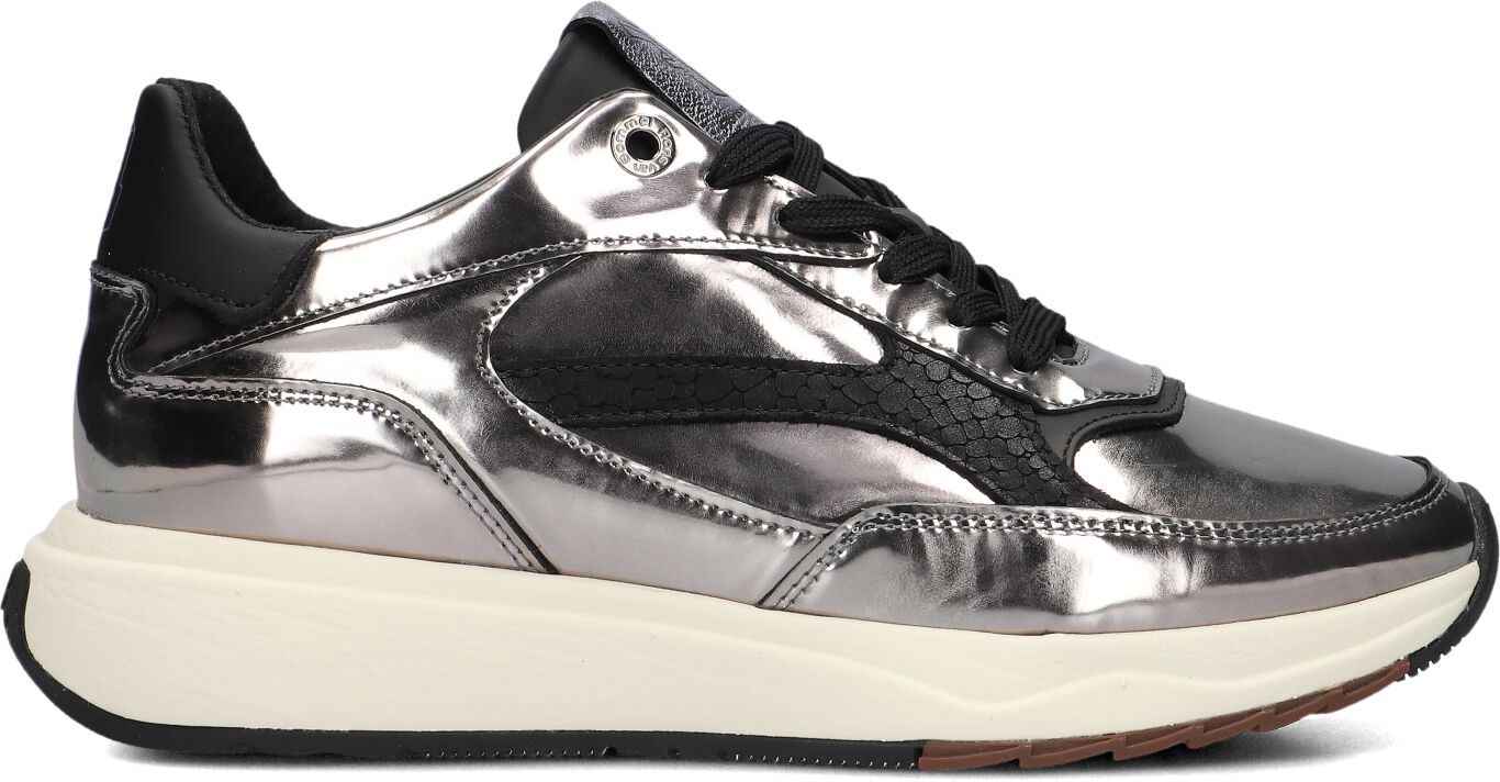 Floris van Bommel,  Sfw-10138 Suvi