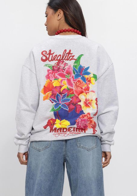 Grijze STIEGLITZ Truien/vesten GLENDA SWEATER - large