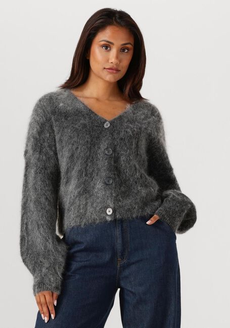 Grijze GESTUZ Vest GZDEBBIE CARDIGAN - large