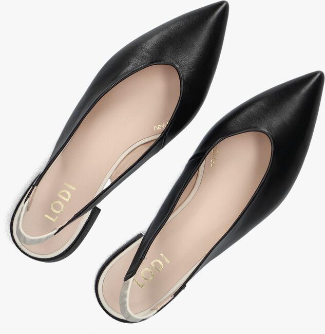 LODI AMARIE LODI AMARIE - large