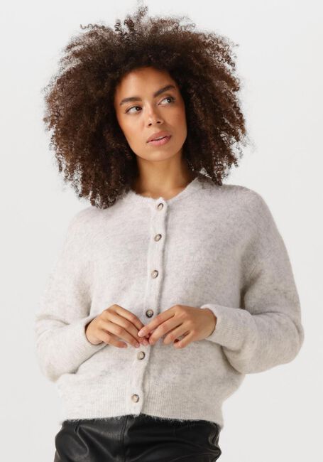 Grijze KNIT-TED Vest BRITNEY - large