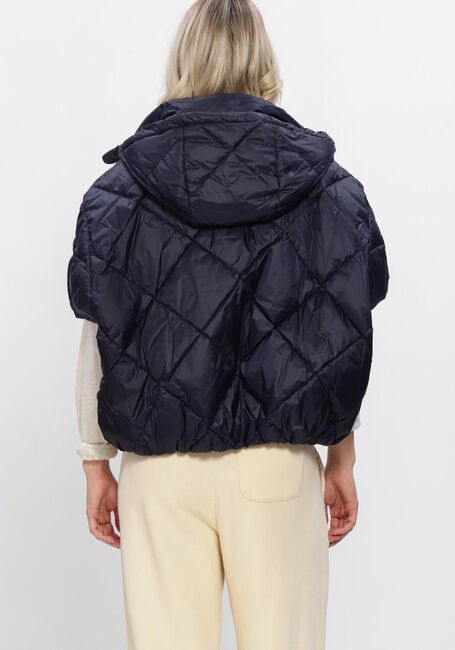 Donkerblauwe DEBLON SPORTS Gewatteerde jas STEVIE BODYWARMER - large