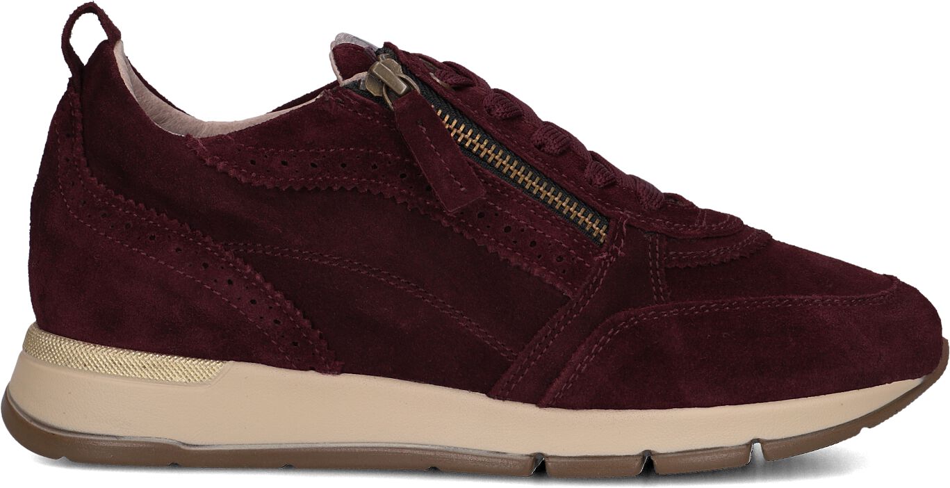 Dl Sport DL Sport Lage Sneakers Dames 7116