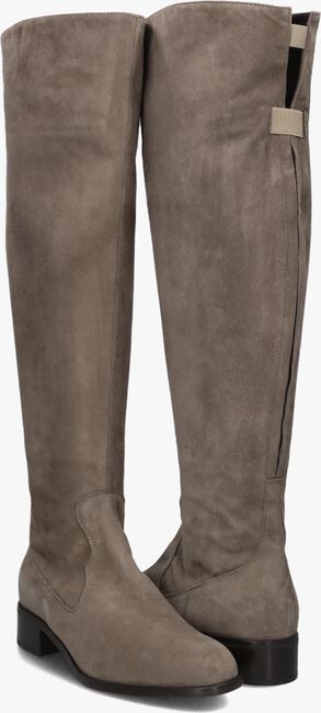 Taupe NALINI Hoge laarzen 22I108 Taupe NALINI Hoge laarzen 22I108 - large