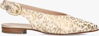 Gouden PERTINI Slingbacks 34490 Gouden PERTINI Slingbacks 34490 - medium