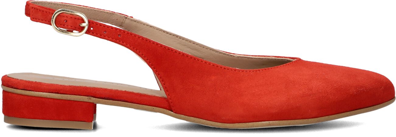 Lina Locchi Slingbacks
Dames 010-72, Maat: 40, Materiaal: Suède, Kleur: Rood afbeelding 1