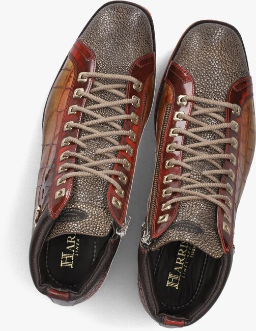 Bruine HARRIS Hoge sneakers 0721 Bruine HARRIS Hoge sneakers 0721 - large