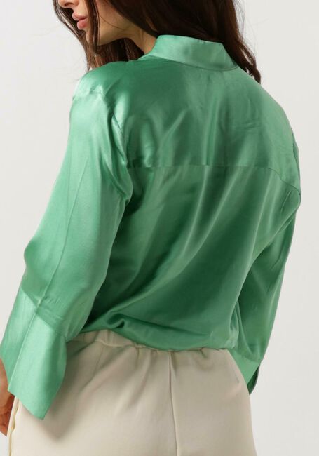 Groene DEA KUDIBAL Blouses LYSANNA - large
